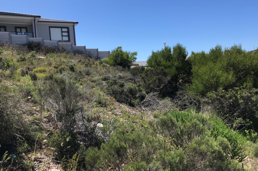0 Bedroom Property for Sale in Island View Western Cape